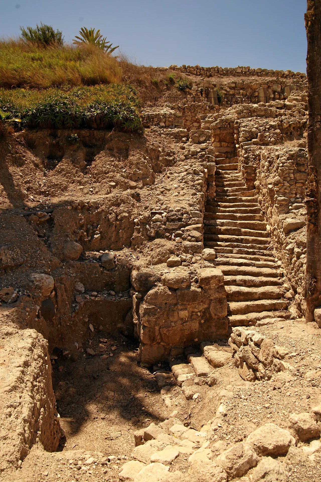 Tel Megiddo 6